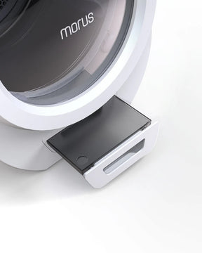Secadora portátil Morus Zero